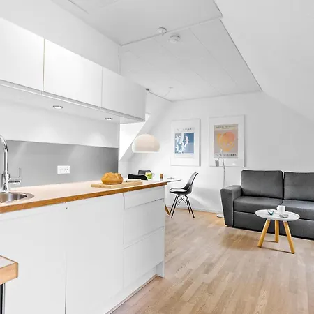 Apartment Lovely In With Kitchen *